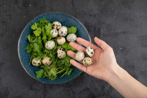 Как приготовить Салат "Грибной лес" с шампиньонами, луком, зеленью и маринованными огурцами.